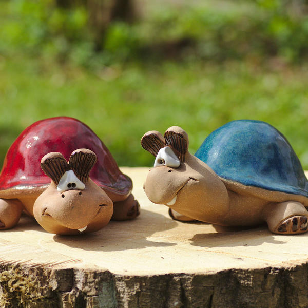 Schildkröte 35 Euro