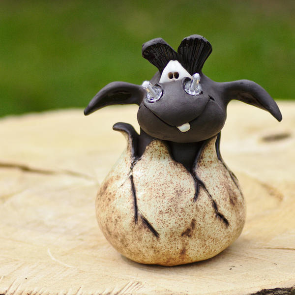 Drache aus dem Ei 39 Euro