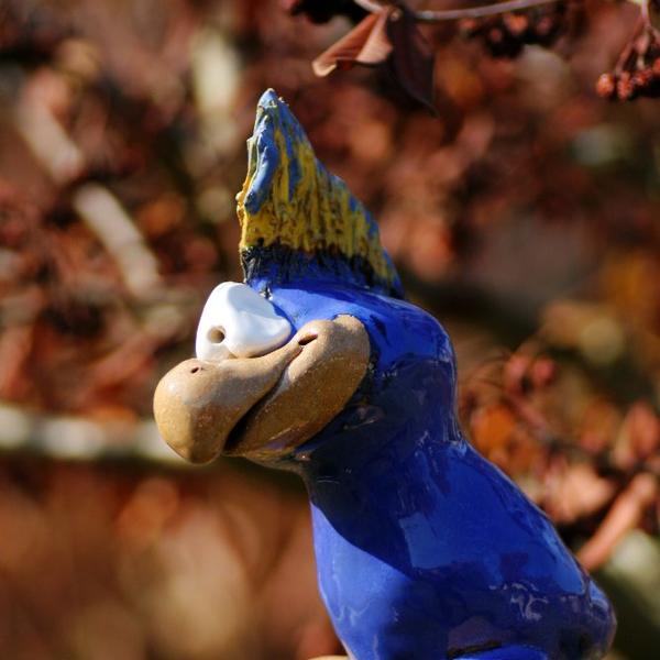 schräger Vogel 26 Euro