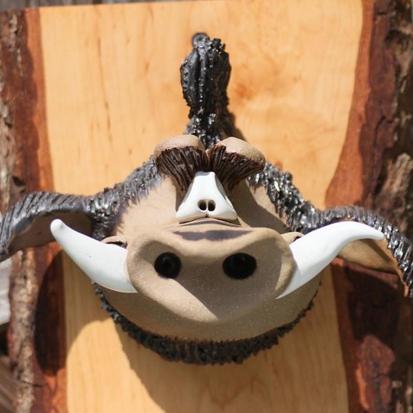 Wildschwein-Trophäe 49 Euro