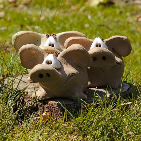 Glücksschweine 14 Euro