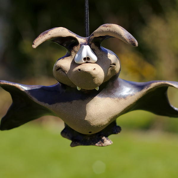 Fledermaus aufrecht fliegend 30 Euro